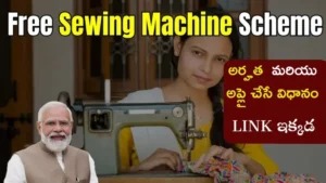 Free-Sewing-Scheme