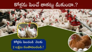 poultry form